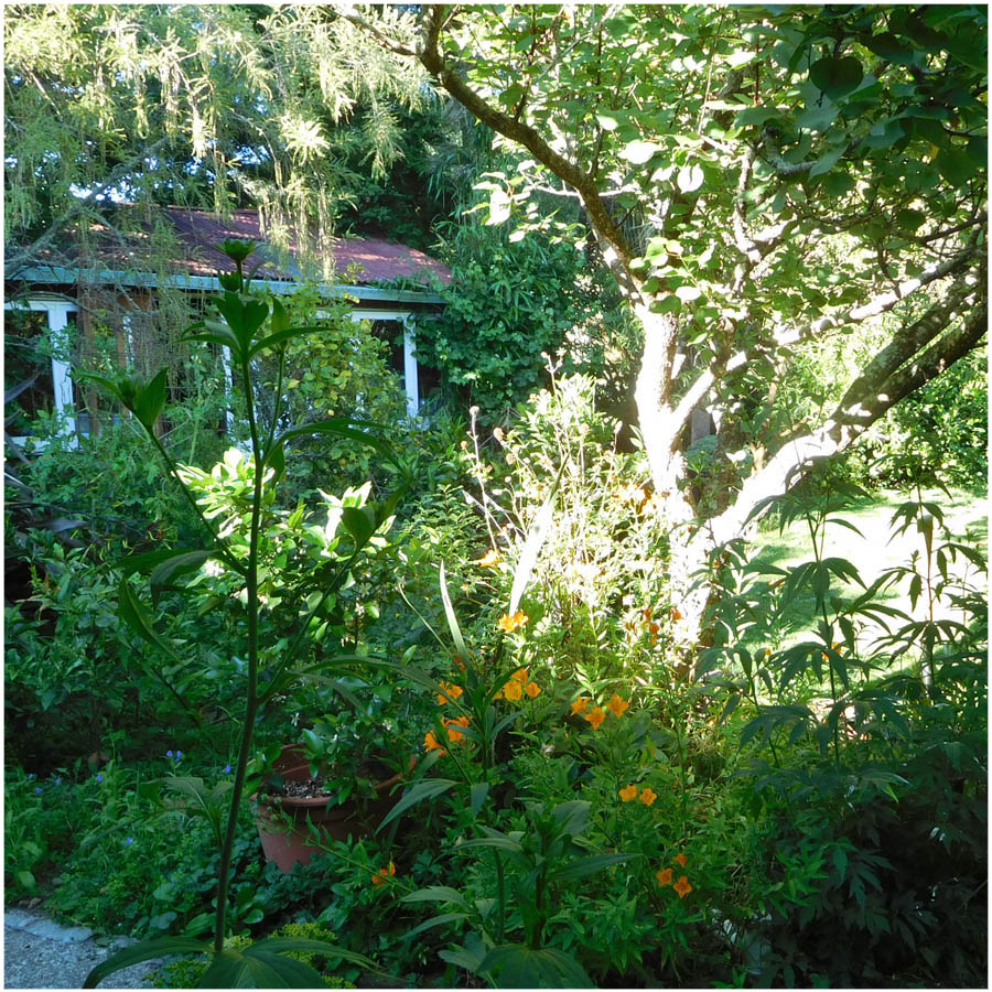 looking to the studio